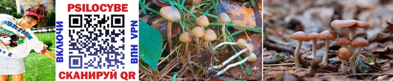 Псилоцибиновые грибы MAGIC MUSHROOMS Павловский Посад